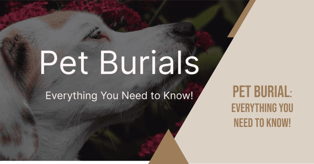 Pet Burial: Everything You Need to Know! (A Professional Guide)