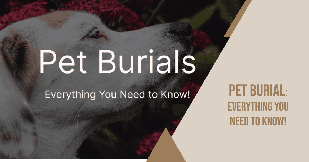 Pet Burial: Everything You Need to Know! (A Professional Guide)